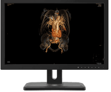 KTC-Shenzhen-24х20-Technology-Co.-Ltd.png